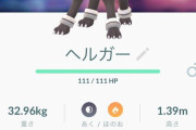 【ポケモンGO】3億じゃなく半端な数値に設定してんのはそういうこと【メガヘルガー】