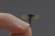 中国人民解放軍、戦場偵察用に蚊サイズのバイオニックロボットを開発！