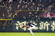 【画像】野球の試合中にグラウンドに乱入したもの
