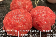【画像】「真っ赤な半生の生バーグ」が流行中ｗｗｗｗｗ