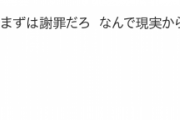 木下優樹菜さんが“タピオカ騒動”からの2年間没頭していたことｗｗｗｗｗｗｗｗｗ