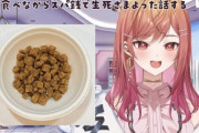 【ホロライブ】社長は犬の餌食べとるんか？