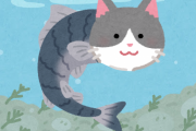 【速報】お寺の池でネコの顔をした魚「猫面魚」が発見される！！！