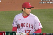 大谷翔平が一生涯食べることがなさそうな食べ物