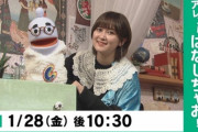 【悲報】NHKさん、とんでもないぬいぐるみキャラ「まっきぃ」なるものを爆誕させる