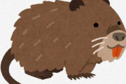 ヌートリア「かわいいです。おいしいです。どんどん増えます。」 ← こいつが害獣扱いされている理由