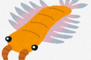 昆虫やエビなどの節足動物はアノマロカリス類の子孫　ミッシングリンク見つかる