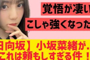 【4月8日の人気記事10選】 日向坂46小坂菜緒さん・・！これは頼もしすぎる件！… ほか【乃木坂・櫻坂・日向坂】