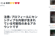【速報】香港氏のXプロフィール欄が、明らかに警告画面に変わってしまう。ハロヲタからの抗議が反映されたか