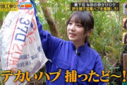 【乃木坂46】与田祐希ちゃんのハブ回って何位だったんだろう