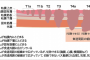 【衝撃】月1でカッノのマ●カス舐めて綺麗にしてた結果・・・
