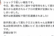 【悲報】痛車乗りさん、不幸にも「反社」の車に追突される。悲惨すぎるだろ…