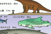 シロナガスクジラ「地球史上最大の生き物です」←こいつｗｗｗｗｗｗｗｗｗ