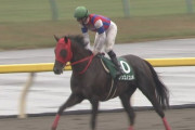 【競馬】ノンコノユメどんどん弱くなっていくな