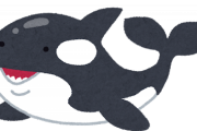 【悲報】まだポケモンになっていない動物、シャチしかいない