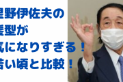 星野伊佐夫の髪型が気になりすぎる！カツラ疑惑や若い頃の画像や経歴も！