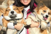 嫌そうな顔をするコーギーの写真大会　外国人の間で盛り上がってしまう