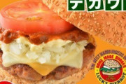【速報】地元のハンバーガー屋さん、写真と現物がｗｗｗｗｗｗｗｗ