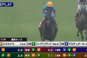 【青葉賞】っぱルメール騎手とモレイラ騎手って上手いんやなって　他