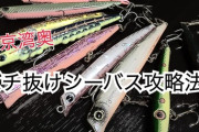 【参考動画満載】バチ抜けで扱いやすい実績ルアーとは！