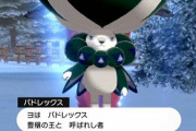最近の伝説のポケモンには、伝説としての威厳が足りねえ！！！