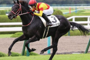 【先週4戦4勝の快挙】矢作厩舎　今年は新馬の強さが異常！