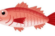 「高級魚」　←思いつく魚類