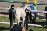 【競馬】三浦皇成騎手、左肩・左手首骨折の疑い 大塚騎手は頭部外傷で脳挫傷の疑い