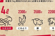 SDGs「コオロギを食え！！コオロギを食え！！！！！コオロギ！！！！」→結果