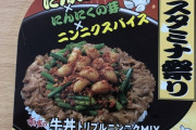 【朗報】ワイ、すき家のニンニクMIXを食べにくる