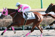 【フェブラリーS】オメガギネス出走可能に！鞍上はルメール