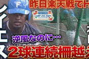 対外試合ホームランのレイエス！逆風なのに2発連続柵越え打撃で魅せる