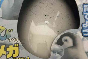 【衝撃画像】卵から生まれたおもちゃがマジでヤバいｗｗｗｗｗ
