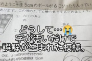 【悲報】算数の先生、とんでもない採点をしてしまうwww