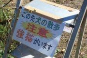 【画像】看板「キケン！この先ネコがいます」