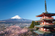 富士山+五重塔の映えスポット、桜まつり中止　観光公害「もう限界」