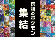 【ポケモン剣盾】好きなポケモンで考えて戦えてないのは自分が弱いから？【冠の雪原】