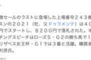 セレクトセール初日感想　他雑談
