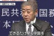 【中国】王毅外相、訪日に意欲　岩屋外相の訪中も歓迎 [12/5]  [ばーど★]