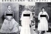 話は聞いた。乳出しチョゴリはオマエラオリジナルと認めよう　〜　【国際】中国「チョゴリは中国衣装」　韓国教授激怒