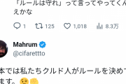 【炎上】クルド人｢日本では私たちクルド人がルールを決めています?✊｣  ネタ垢と笑っていられない現状