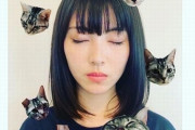 浜辺美波、要望に応えた猫写真に「違うｗ」殺到！！