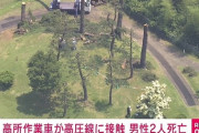 ゴルフ場の木を切るわ→作業車が高圧線に触れ作業員2人死亡、横浜線全線運転見合わせ