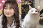 この鈴木絢音ちゃんの顔が面白猫と一致ｗｗｗ【乃木坂46】