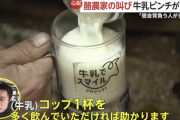 【速報】酪農家、悲鳴『コップ1杯牛乳多く飲んで』