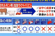 【疑問】何で日本って食品添加物規制しないの？