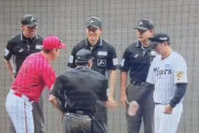 【悲報】ヤフコメ、今回の藤川vs新井も阪神側が悪いことになっていた