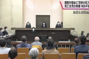 聴覚障害の女児死亡事故、両親らが控訴「落ち度のない娘の賠償金減額は腑に落ちない」