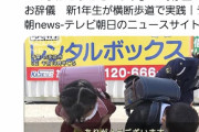 【画像】警察「横断歩道で止まる自動車様に深々とお辞儀しろ」←これｗｗｗｗｗｗ