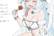 【FGO】水着のニキチッチちゃんイラスト！！　ビキニ姿もいいですね！！